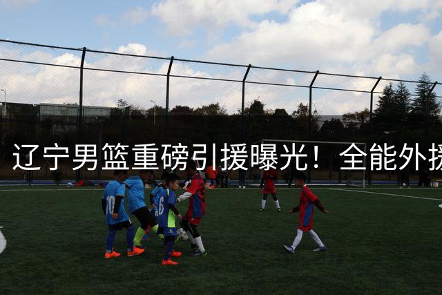 辽宁男篮重磅引援曝光！全能外援克里斯加盟，冲击CBA四强